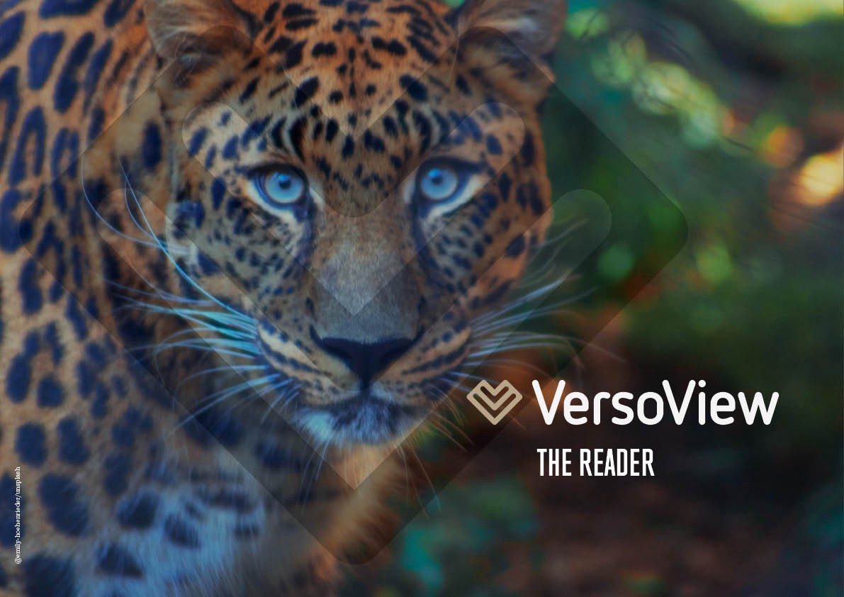 It starts with a story VersoView
